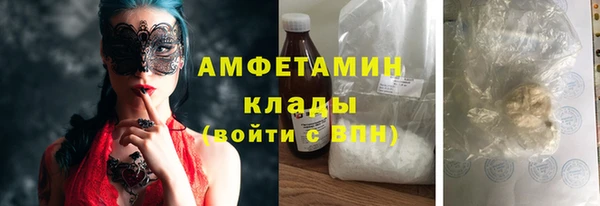 прущие грибы Михайловск