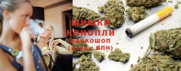 сатива Михайловка